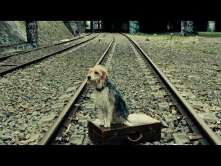 man and his dog (2008) cinema films hd guardians of the galaxy